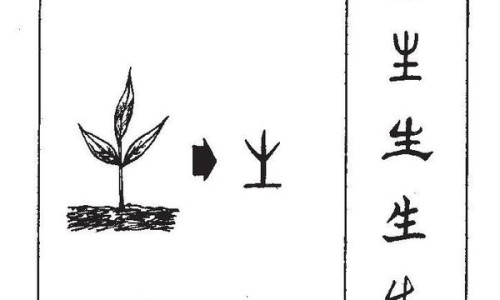 桂的功效与作用禁忌-王桂绵的中药好吗专区_桂的功效作用与主治专区_王桂的功效网